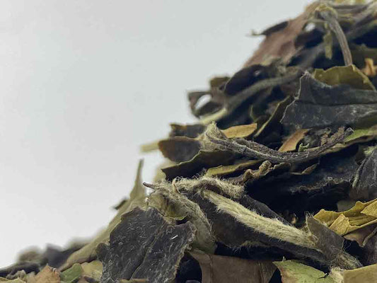 Pai Mu Tan - Biała Peonia. 50gr